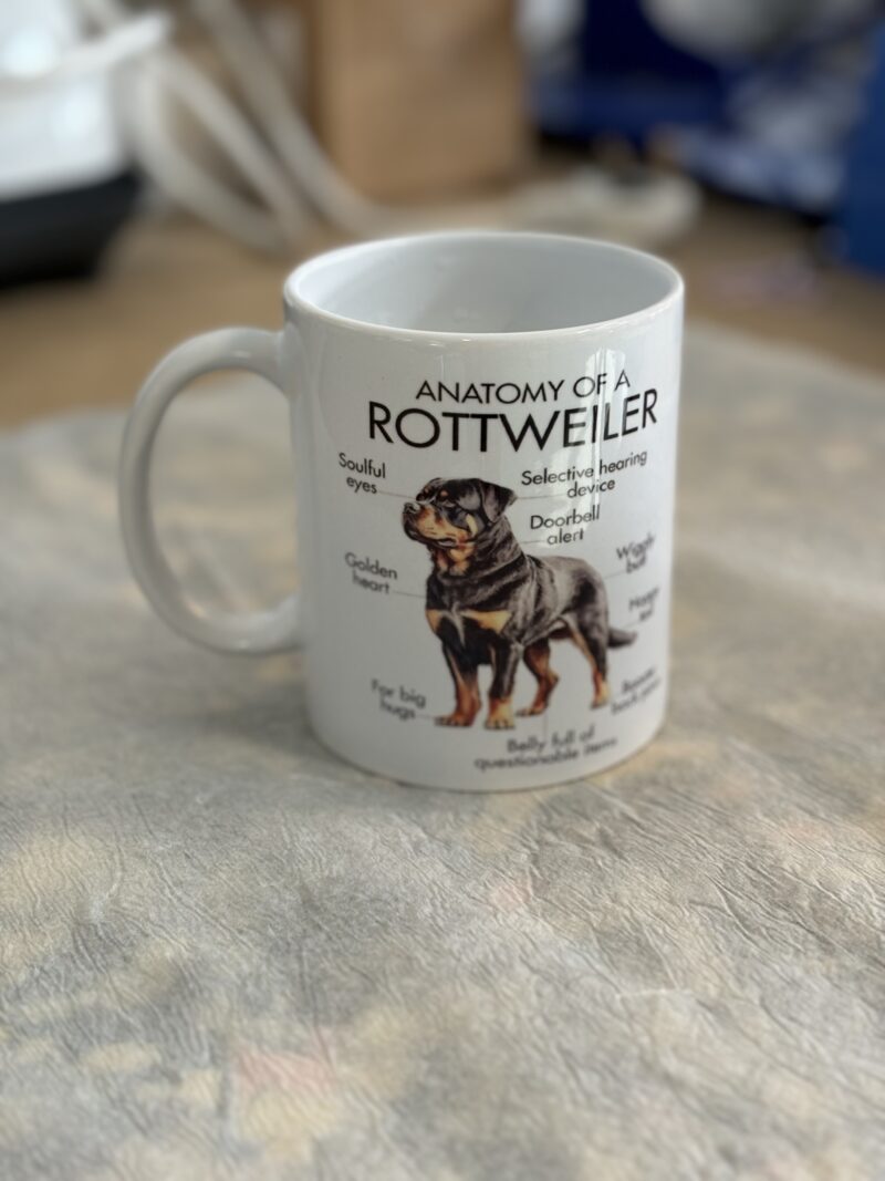 Anatomy of a Rottweiler mug